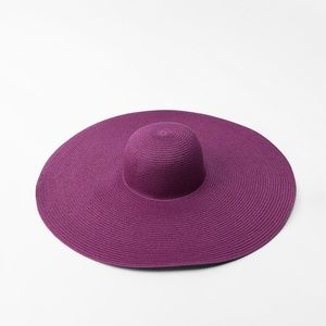 Zara limited edition huge picture hat